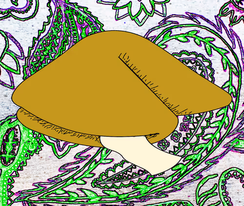 Item #56177743258238353915692039261457950691196406802314425732675602486019540123668 Media