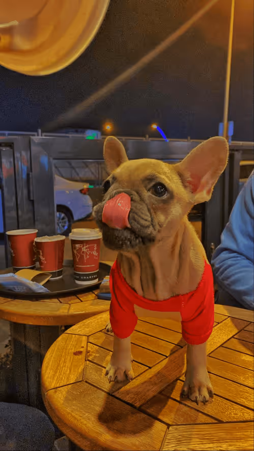 Item #33162859492469512610993028158662506323979054531486487379889468784284331409409 Media