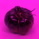 110692649264369377071495627220392981109400302920527361961030166704165021024257