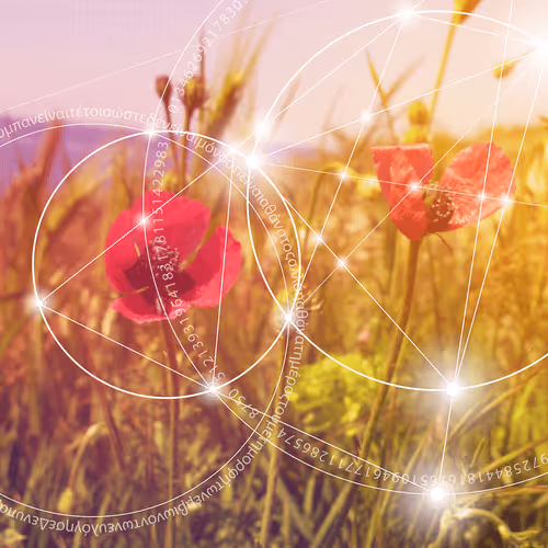 Item #32411125675487060619215429291378722085316015159672046256732381685046556229633 Media