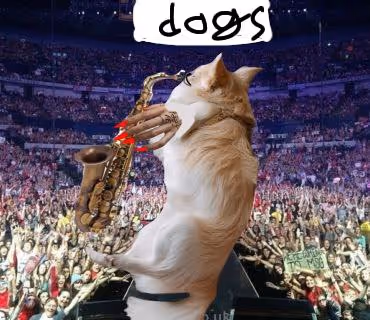 Item #9314582640054507507305879048375054988106597320136018077769130760518309511169 Media