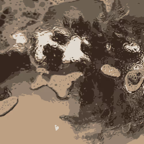 Item #105005020729928812833768265319498466553553546658524119607543066595391508054516 Media