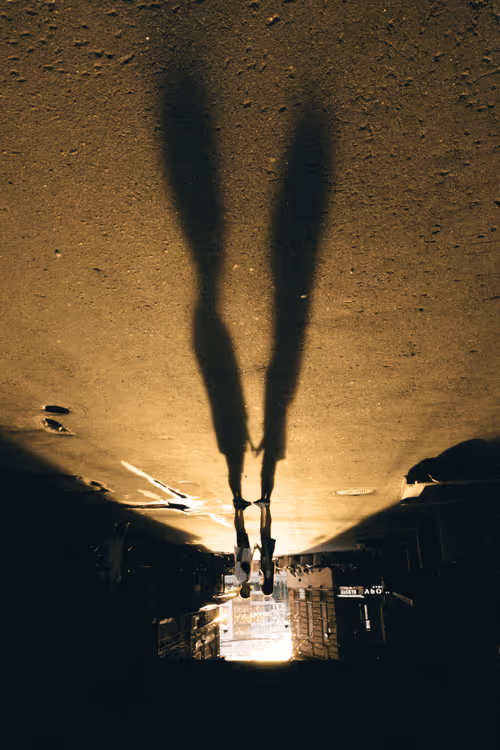 Item #88366683521027868072539568157798482668280987352295721914948372179925055045633 Media