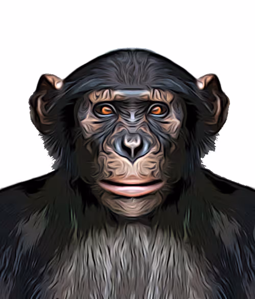 Item #57314732698610906485225072317027736762766686769020044212418351129984401145861 Media