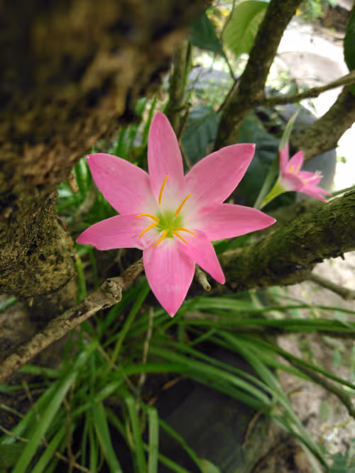 Item #96373460507912281939903112807065392587728079623754575039603803261860992516097 Media