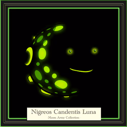 Item #76752218881849120107167597040005756599164089275811145519000577566250052354147 Media