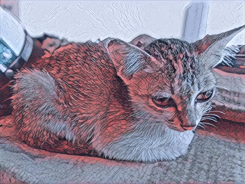 Item #74122138759525378795667626270866148487737655975912799548892275925193683107841 Media