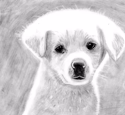 Item #34852186502624217453829761604999891751563499599124739945275168418614854287361 Media