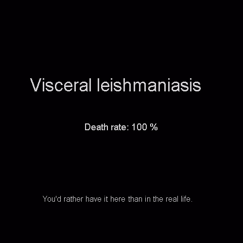 Item #81808085032476359797455255547863298923837726005960725874573045528826891731944 Media