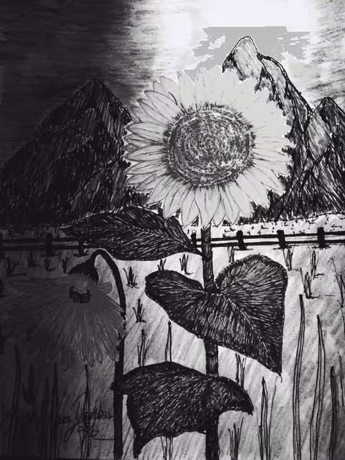 Item #41423174657448755454775180770704774351895892577704630438802697526982228312065 Media