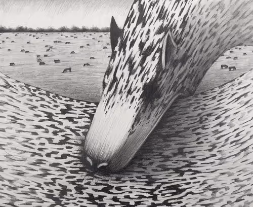 Item #86840999901680636627207767211132510364269791174198933715029395775723933794305 Media