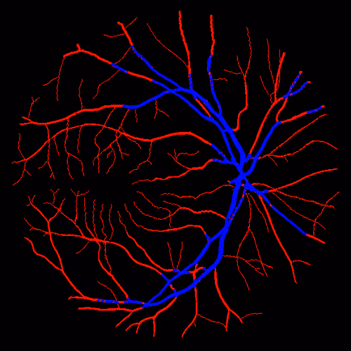 Item #7078802064077755305879053961196844759257248211509687953083585936377367232513 Media