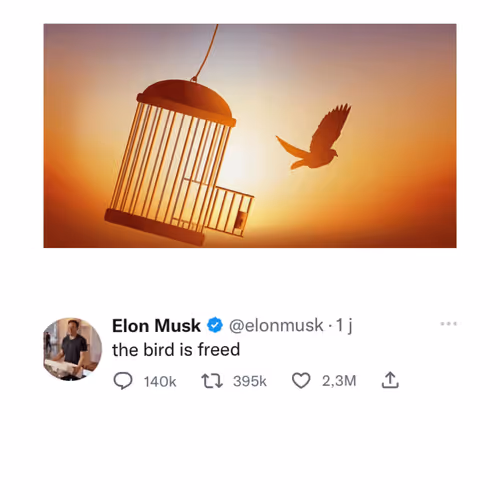 Untitled Collection #307459484