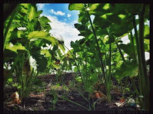 Item #3787080761074609709675817509753112159059746763483256848434353890948431216641 Media