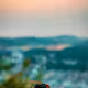 30270186206912635545916854071444122971615275588670590856353022791624230436865