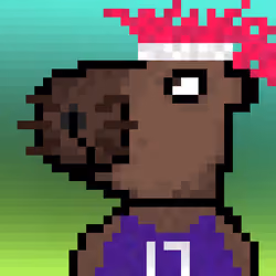 Capybara 24