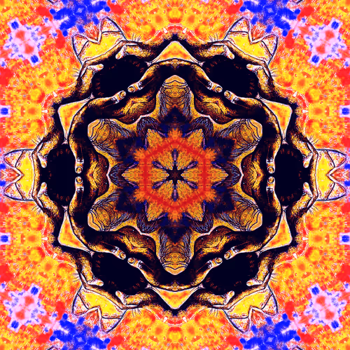 31097931735536228284032699637255406190173055095304977551590049565947071561729