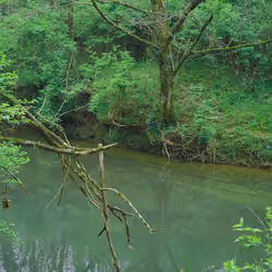 Murky Waters