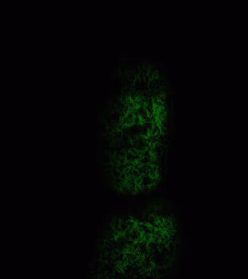 Item #33284642509827638963804114328677612698727850286789687928782083973199410757635 Media