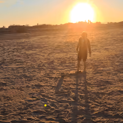 Dreams at sunset
