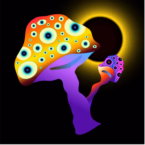 Item #69353682132584287921640915502496302946504347868100656215909837772757974122497 Media