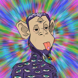 MONKEYHYPE #370