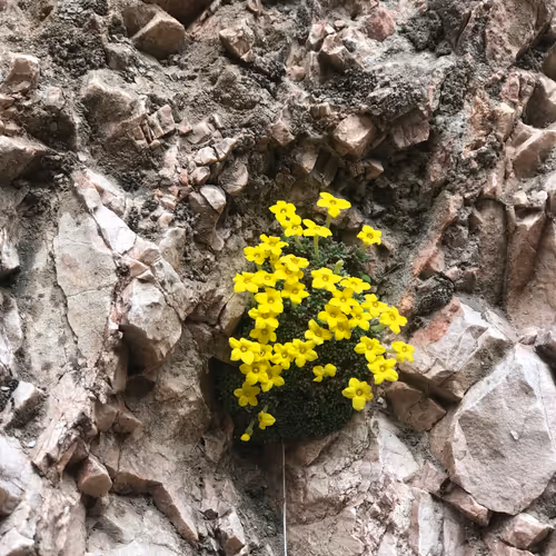 Untitled Collection #84538484