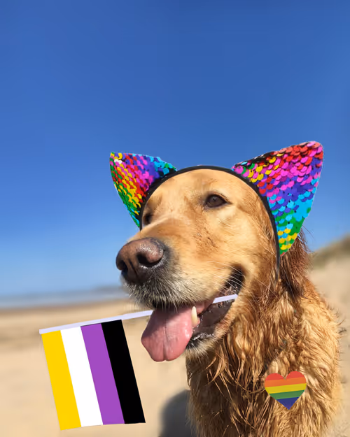 Item #26839399415497039076862880694069072006331525189107682525417321851155296288769 Media