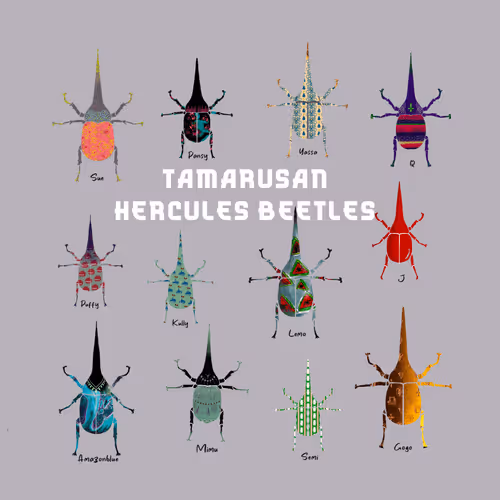 Item #66153270118685778014636761242150428097664080724379271473793241690867496910849 Media