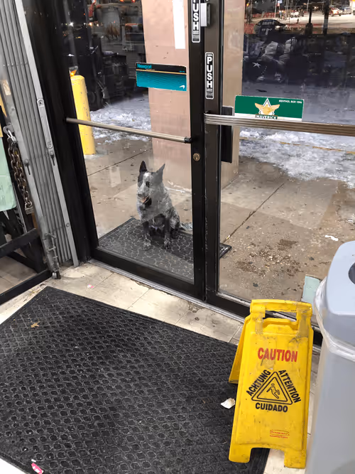 Item #21354341286033725876860684844379003718695889881501413546737208272684815746024 Media