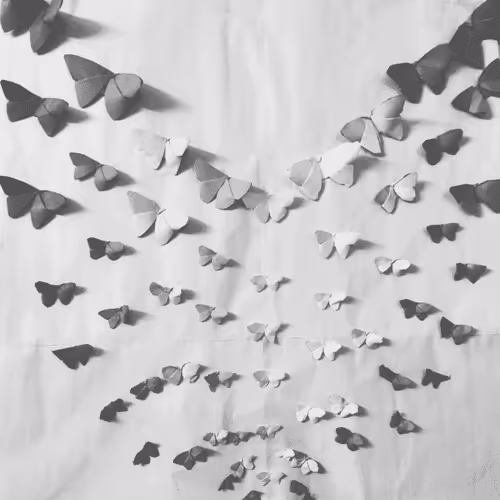 Untitled Collection #45329083