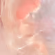 88686912889703448436078623121521242994177989011481072606015034283924719140869
