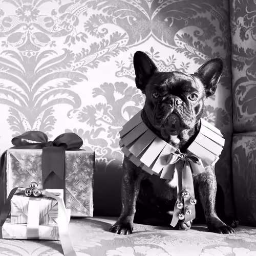 15081463501546268006596121588316872326209313817998412847676537125924014915585