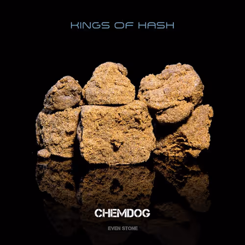 Item #11778203385861347349275345224081259991327063537749380274759322622955639275521 Media