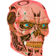 52965775771799190680628000005897342612358878283615175985381303584949255798785