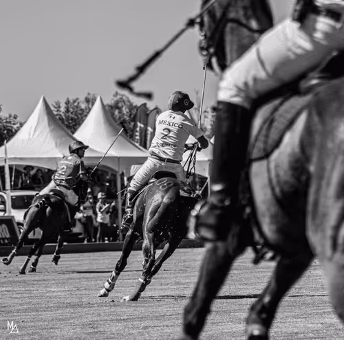 Item #41292547216999824454426259435267855130465343897515309645987456174409658662913 Media