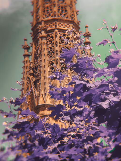 Item #100385597520461868634299056343075936015150610625709268177788149248964624908289 Media