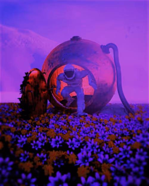 Item #15705111438189856426438892606062530596259512647374657212178829163899310310376 Media