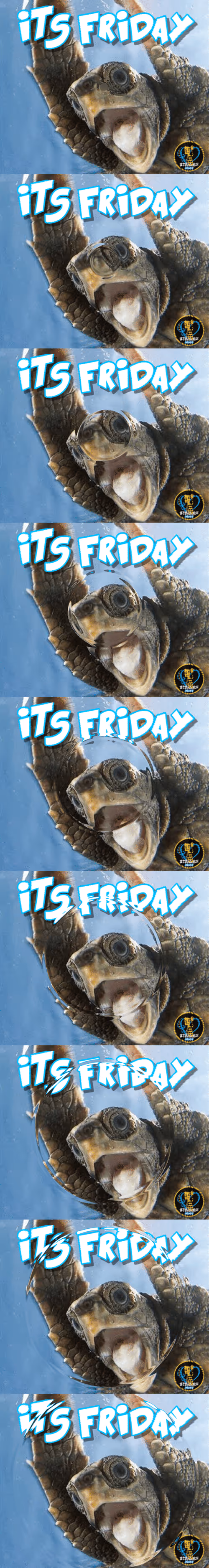 Item #80317800320504061765698405195946639527219012869663641548799070445880840552449 Media