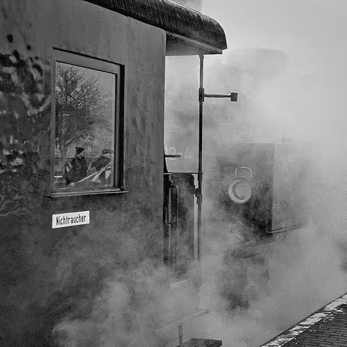 Item #54092708251689304060008626725907944876680074354438048784149165949711571484673 Media