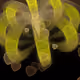 61561342063696083860603409898665470511703259770319170990514006652330837016577