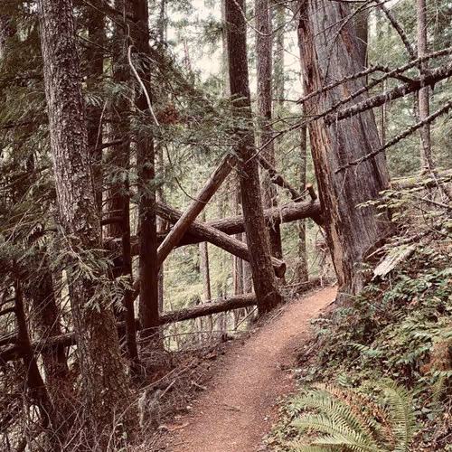 2005862319158051831365229387864138466486092287762213337058068748316329377793