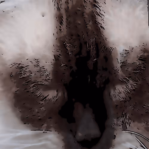 Item #100699266862010265980474664760375873767511284921164942724068626054201170984961 Media