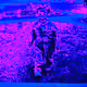 12487784663316112872991520985674897236448498557666379661479517359321408176824