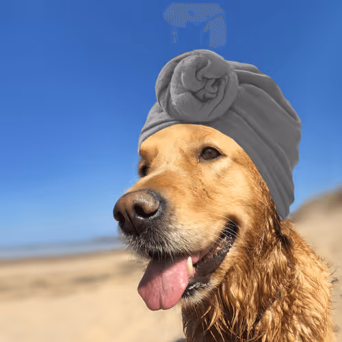 Item #26839399415497039076862880694069072006331525189107682525417321824767017222145 Media