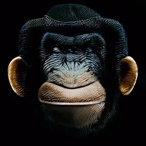 Item #53987918112360969741362458844154647940462192814194776722947166406337076658177 Media