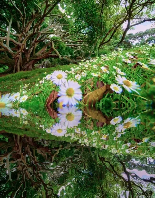 Item #33273431064062745158281459223994481396408298461003960329838769737111997251589 Media