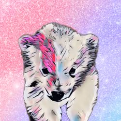 Polar Bear #74