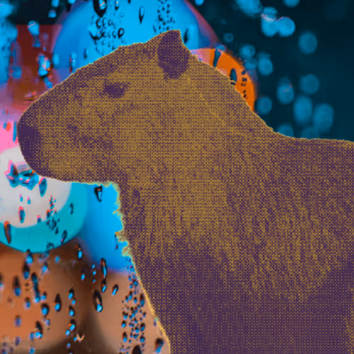 Item #77293639745095891845583666631883170661693217235776112228934488510166823075841 Media