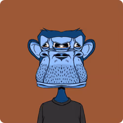 97561639571627388071356652907537601368549646480205712750088823966431843450980